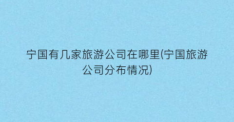 宁国有几家旅游公司在哪里(宁国旅游公司分布情况)