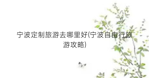 宁波定制旅游去哪里好(宁波自由行旅游攻略)