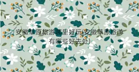 安徽草原旅游哪里好玩(安徽草原旅游有哪些好去处)