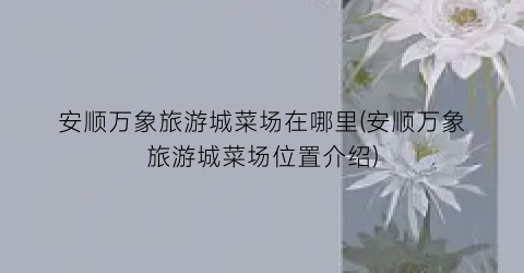 安顺万象旅游城菜场在哪里(安顺万象旅游城菜场位置介绍)