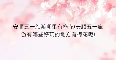 安顺五一旅游哪里有梅花(安顺五一旅游有哪些好玩的地方有梅花呢)