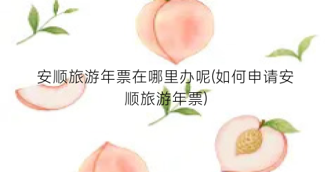 安顺旅游年票在哪里办呢(如何申请安顺旅游年票)