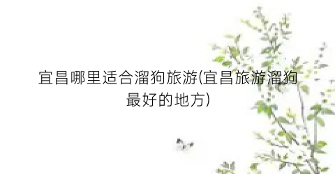 宜昌哪里适合溜狗旅游(宜昌旅游溜狗最好的地方)