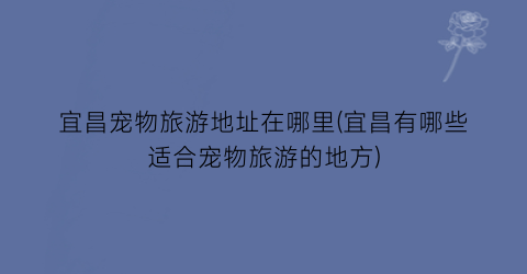 宜昌宠物旅游地址在哪里(宜昌有哪些适合宠物旅游的地方)