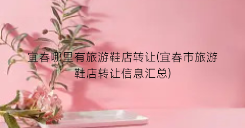 宜春哪里有旅游鞋店转让(宜春市旅游鞋店转让信息汇总)