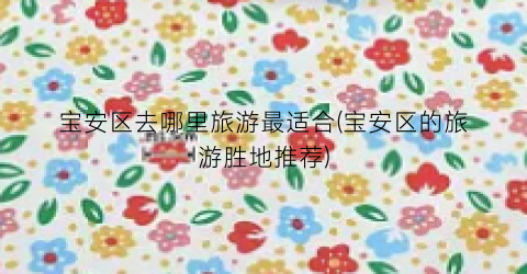 宝安区去哪里旅游最适合(宝安区的旅游胜地推荐)