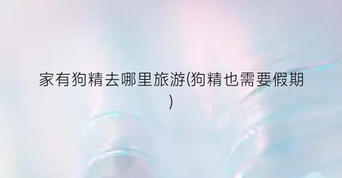 家有狗精去哪里旅游(狗精也需要假期)