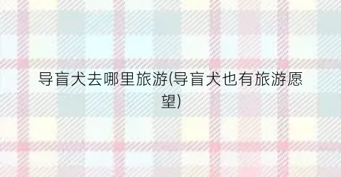 导盲犬去哪里旅游(导盲犬也有旅游愿望)