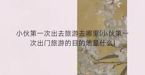 小伙第一次出去旅游去哪里(小伙第一次出门旅游的目的地是什么)