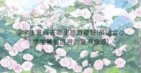 小学生暑假去哪里旅游最好(最适合小学生暑假旅游的景点推荐)