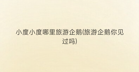 小度小度哪里旅游企鹅(旅游企鹅你见过吗)