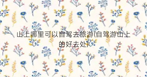 山上哪里可以自驾去旅游(自驾游山上的好去处)