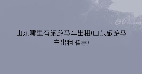 山东哪里有旅游马车出租(山东旅游马车出租推荐)