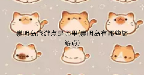 崇明岛旅游点是哪里(崇明岛有哪些旅游点)
