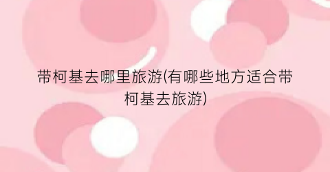 带柯基去哪里旅游(有哪些地方适合带柯基去旅游)