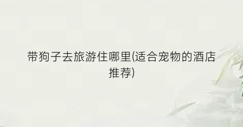 带狗子去旅游住哪里(适合宠物的酒店推荐)