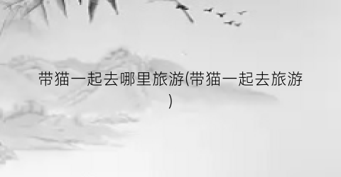 带猫一起去哪里旅游(带猫一起去旅游)