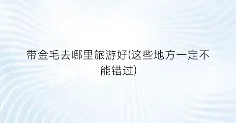 带金毛去哪里旅游好(这些地方一定不能错过)