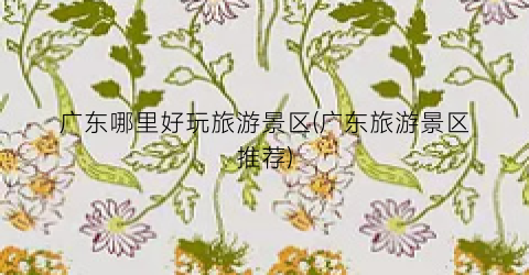 广东哪里好玩旅游景区(广东旅游景区推荐)
