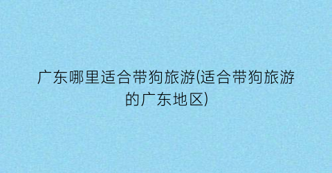 广东哪里适合带狗旅游(适合带狗旅游的广东地区)