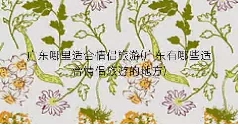 广东哪里适合情侣旅游(广东有哪些适合情侣旅游的地方)