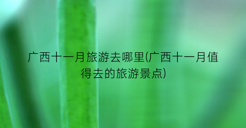 广西十一月旅游去哪里(广西十一月值得去的旅游景点)