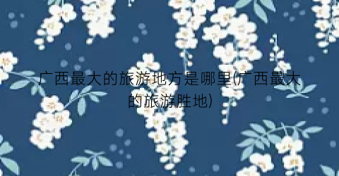 广西最大的旅游地方是哪里(广西最大的旅游胜地)