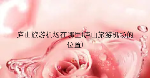 庐山旅游机场在哪里(庐山旅游机场的位置)
