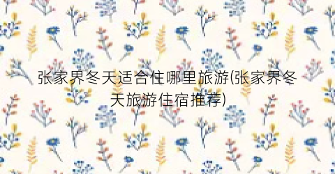 张家界冬天适合住哪里旅游(张家界冬天旅游住宿推荐)