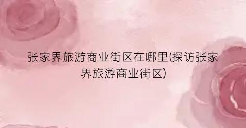 张家界旅游商业街区在哪里(探访张家界旅游商业街区)