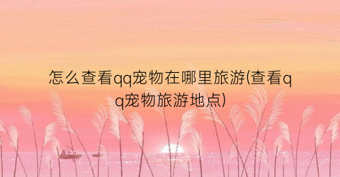 怎么查看qq宠物在哪里旅游(查看qq宠物旅游地点)