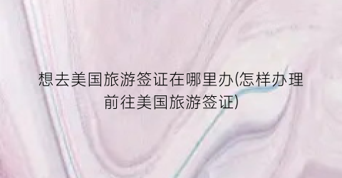 想去美国旅游签证在哪里办(怎样办理前往美国旅游签证)