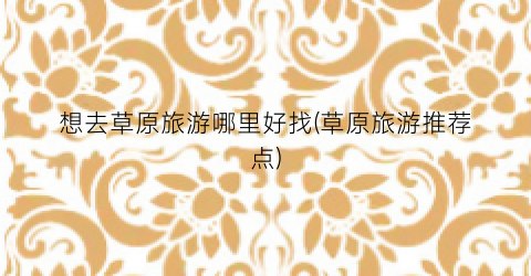 想去草原旅游哪里好找(草原旅游推荐点)