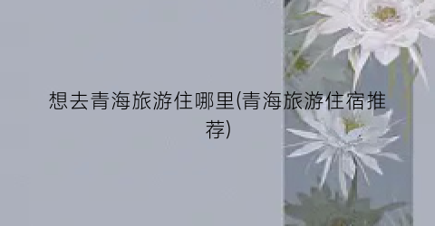 想去青海旅游住哪里(青海旅游住宿推荐)