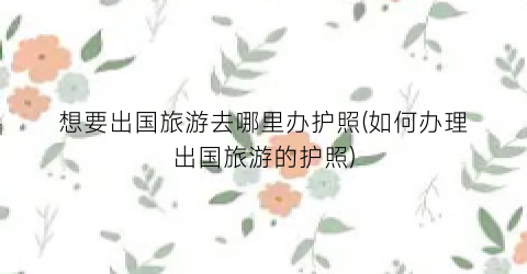 想要出国旅游去哪里办护照(如何办理出国旅游的护照)