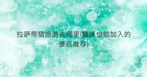 拉萨带猫旅游去哪里(猫咪也能加入的景点推荐)