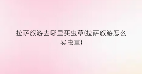 拉萨旅游去哪里买虫草(拉萨旅游怎么买虫草)
