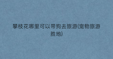 攀枝花哪里可以带狗去旅游(宠物旅游胜地)