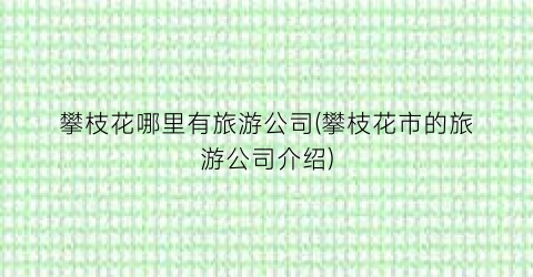 攀枝花哪里有旅游公司(攀枝花市的旅游公司介绍)