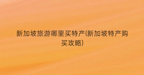 新加坡旅游哪里买特产(新加坡特产购买攻略)