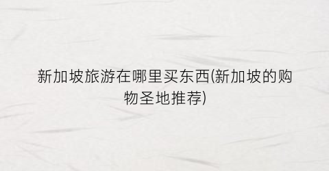 新加坡旅游在哪里买东西(新加坡的购物圣地推荐)