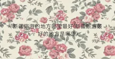 新疆旅游的地方哪里最好(新疆旅游最好的地方是哪里)