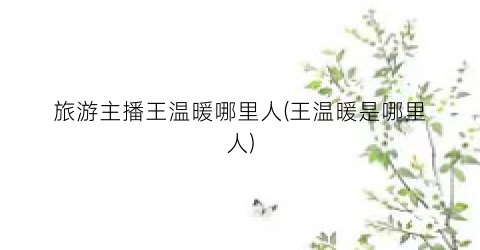 旅游主播王温暖哪里人(王温暖是哪里人)