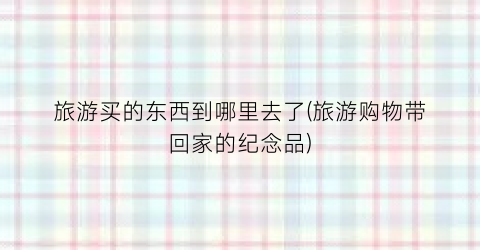 旅游买的东西到哪里去了(旅游购物带回家的纪念品)