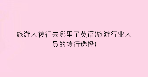 旅游人转行去哪里了英语(旅游行业人员的转行选择)