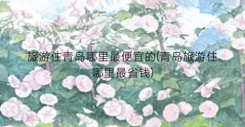 旅游住青岛哪里最便宜的(青岛旅游住哪里最省钱)