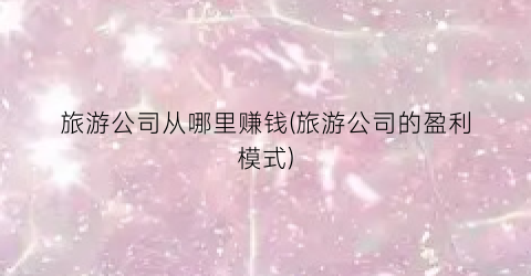 旅游公司从哪里赚钱(旅游公司的盈利模式)