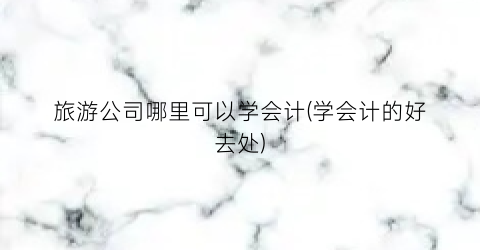 旅游公司哪里可以学会计(学会计的好去处)