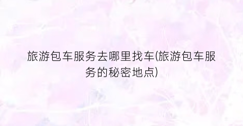 旅游包车服务去哪里找车(旅游包车服务的秘密地点)