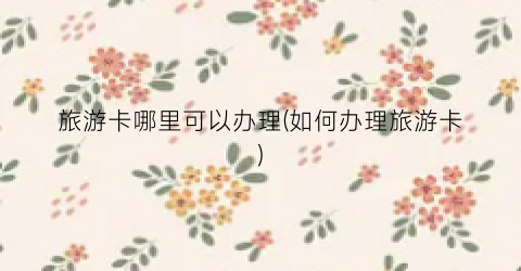 旅游卡哪里可以办理(如何办理旅游卡)